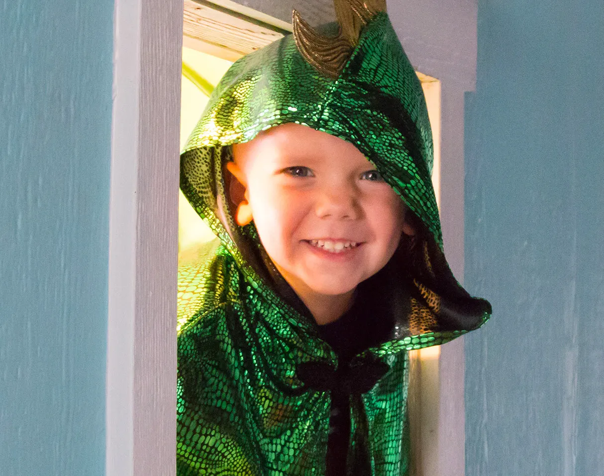 Dragon Cloak
