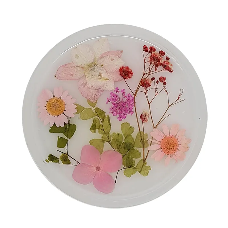 Jojomama Candy Series Coaster Set of 8