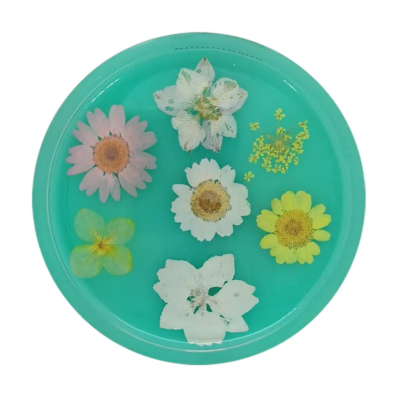 Jojomama Candy Series Coaster Set of 8