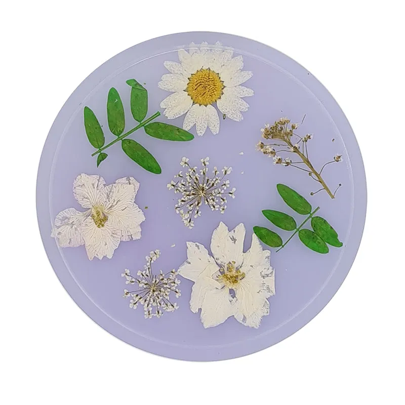 Jojomama Candy Series Coaster Set of 8