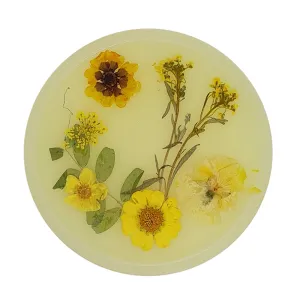 Jojomama Candy Series Coaster Set of 8