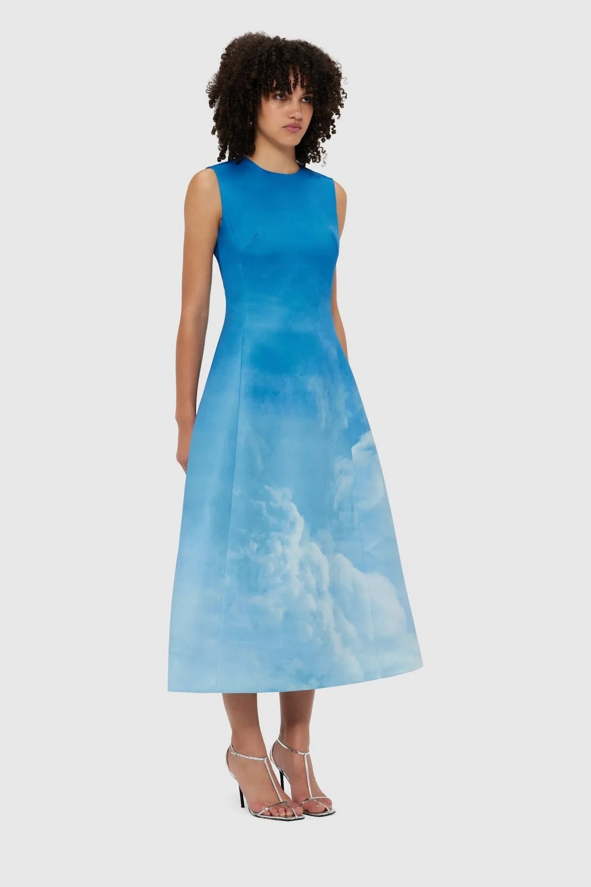 Leo Lin Cleo Sleeveless Midi Dress - Aerial Print