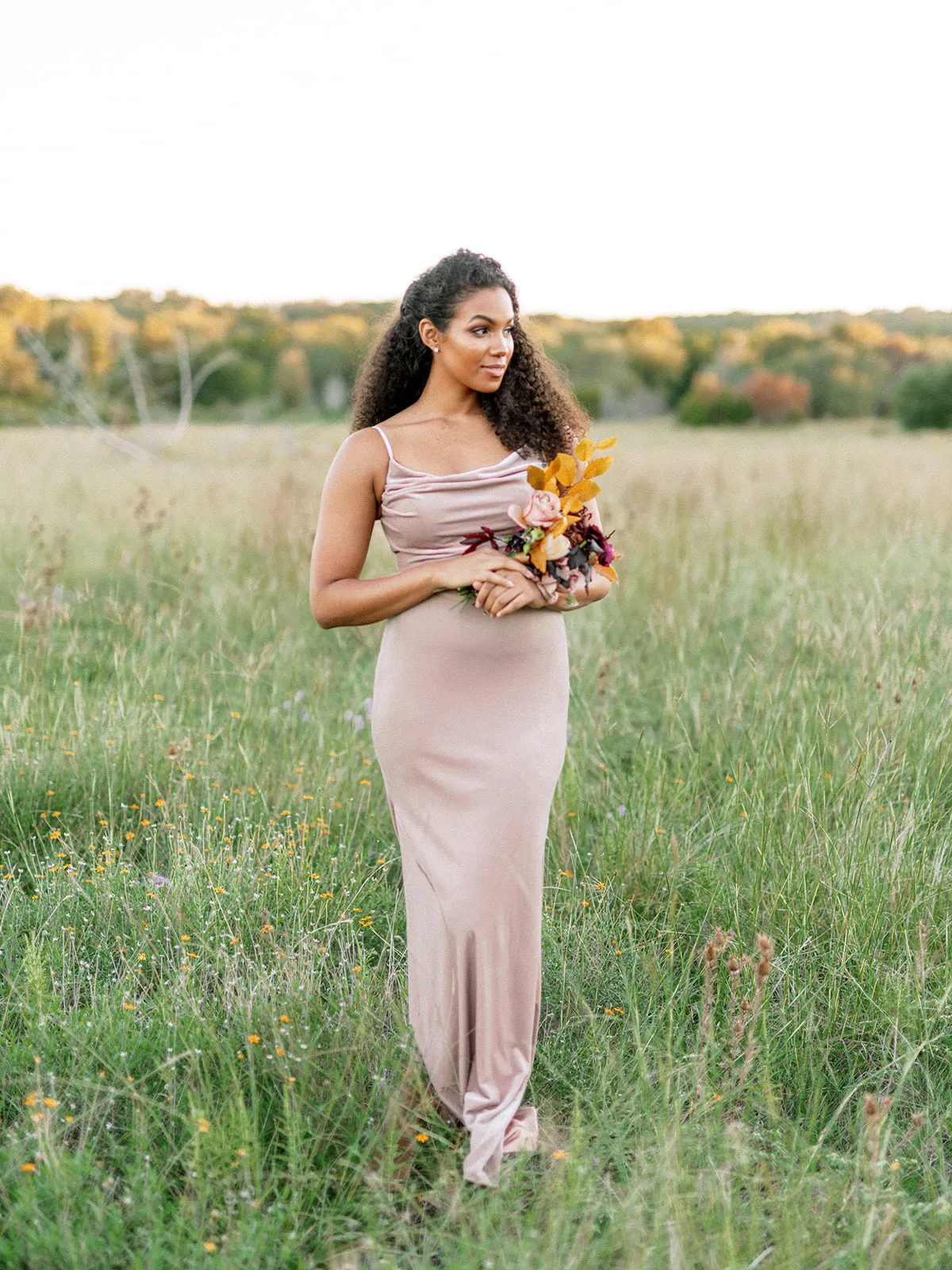 Skye Velvet Dress | Ready To Ship